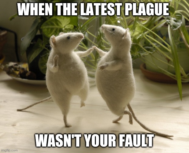 Mice will play! | WHEN THE LATEST PLAGUE; WASN'T YOUR FAULT | image tagged in mice will play | made w/ Imgflip meme maker