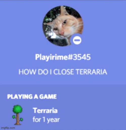 guys please help i cant close Terraria | image tagged in help me | made w/ Imgflip meme maker