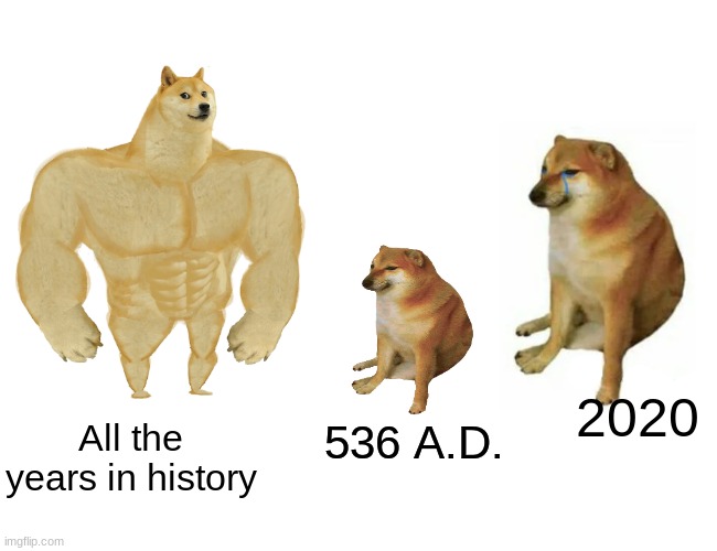 Buff Doge vs. Cheems Meme | 2020 All the years in history 536 A.D. | image tagged in memes,buff doge vs cheems | made w/ Imgflip meme maker
