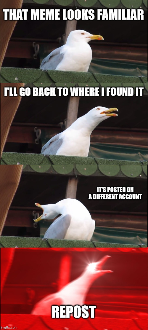 Seagull Finds A Repost | THAT MEME LOOKS FAMILIAR; I'LL GO BACK TO WHERE I FOUND IT; IT'S POSTED ON A DIFFERENT ACCOUNT; REPOST | image tagged in inhaling seagull,repost police,seagull,animal,animals,birds | made w/ Imgflip meme maker
