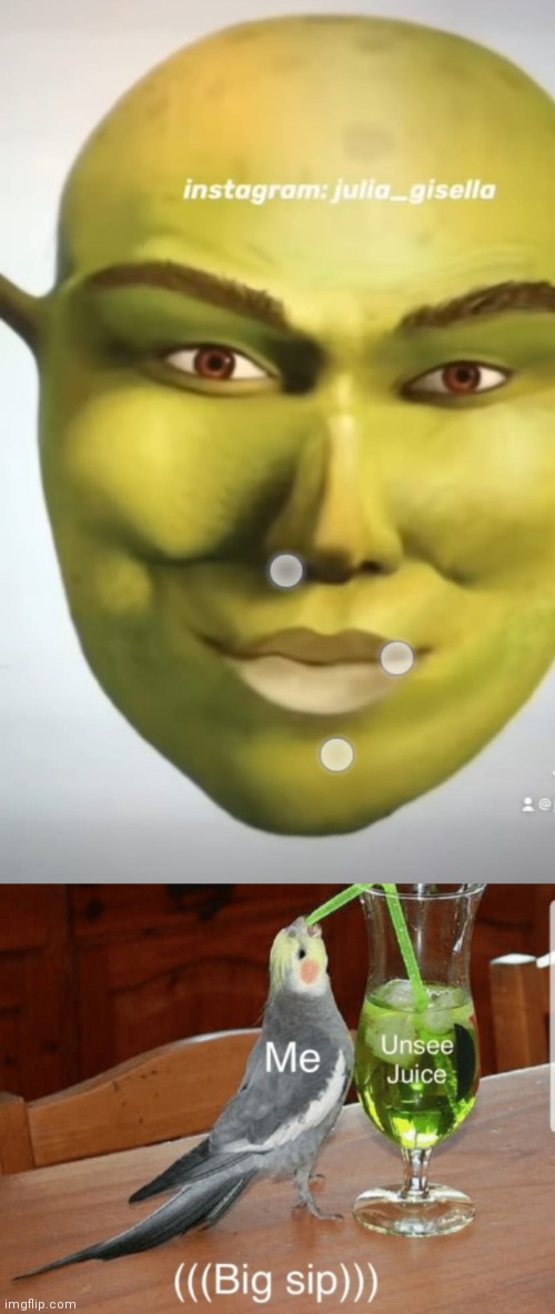 Shrek I- | image tagged in unsee juice | made w/ Imgflip meme maker