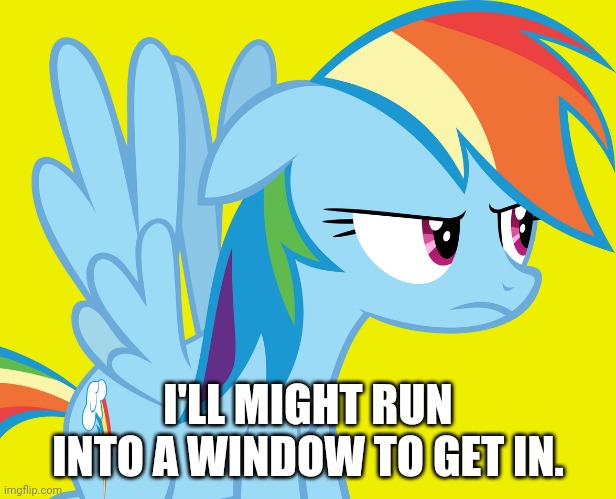 Annoyed Rainbow Dash (MLP) | I'LL MIGHT RUN INTO A WINDOW TO GET IN. | image tagged in annoyed rainbow dash mlp | made w/ Imgflip meme maker