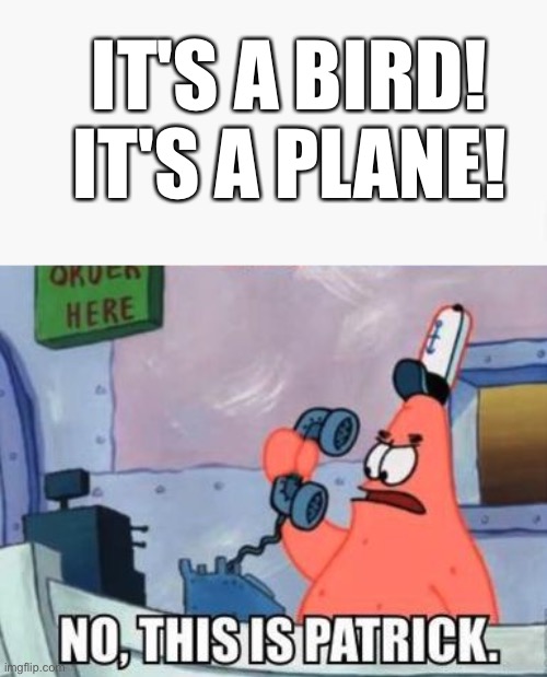 IT'S A BIRD!
IT'S A PLANE! | image tagged in no this is patrick | made w/ Imgflip meme maker