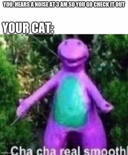 Cha cha real smooth | YOUR CAT:; YOU: HEARS A NOISE AT 3 AM SO YOU GO CHECK IT OUT | image tagged in cha cha real smooth | made w/ Imgflip meme maker