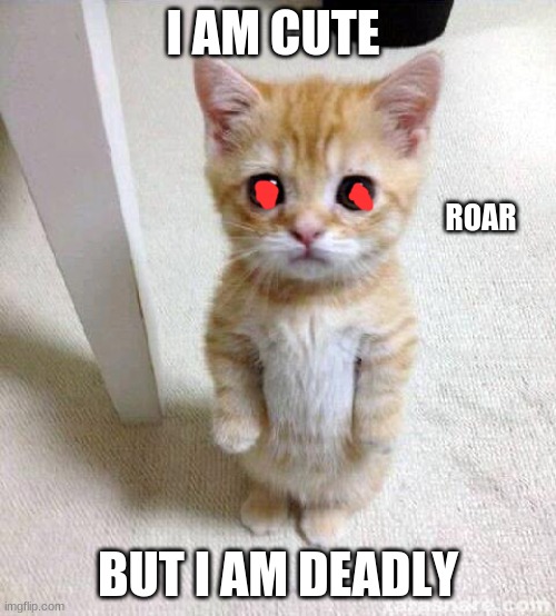 Cute Cat | I AM CUTE; ROAR; BUT I AM DEADLY | image tagged in memes,cute cat | made w/ Imgflip meme maker