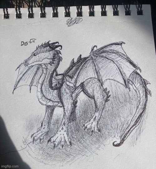 I made this using a pen OwO | image tagged in drawing,dragons | made w/ Imgflip meme maker