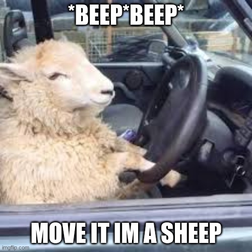 Beep beep im a sheep | *BEEP*BEEP*; MOVE IT IM A SHEEP | image tagged in beep beep im a sheep | made w/ Imgflip meme maker