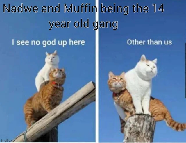 made w/ Imgflip meme maker