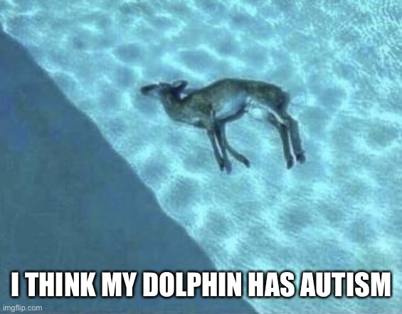 I just don’t even know what too name it | I THINK MY DOLPHIN HAS AUTISM | image tagged in memes,front page plz | made w/ Imgflip meme maker