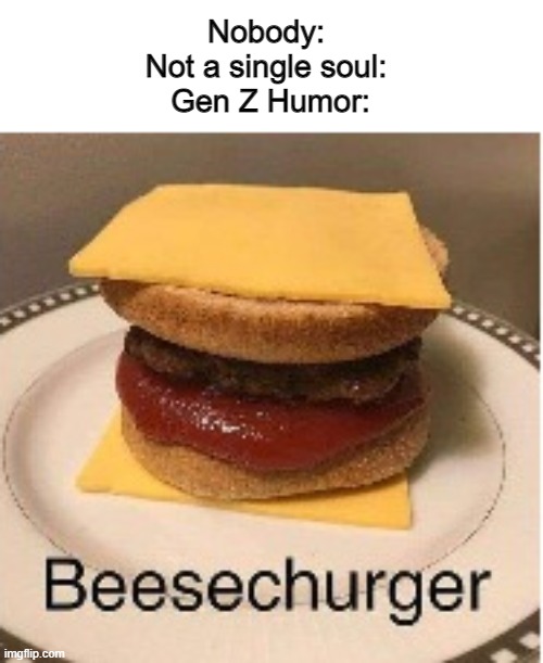 I mean, BEESE CHURGER | Nobody: 
Not a single soul: 
Gen Z Humor: | image tagged in beesechurger | made w/ Imgflip meme maker