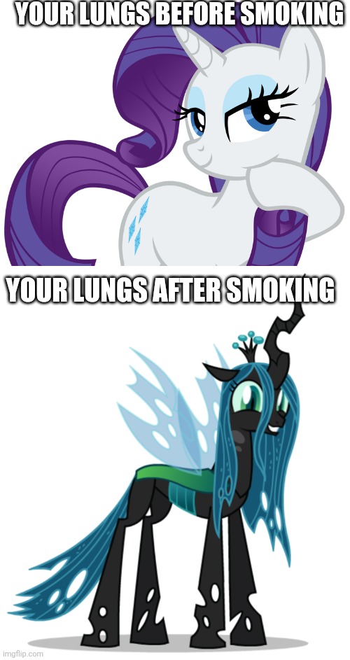 Before vs after | YOUR LUNGS BEFORE SMOKING; YOUR LUNGS AFTER SMOKING | image tagged in mlp meme,rarity,smoking | made w/ Imgflip meme maker