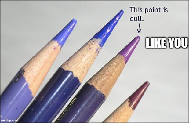 you are dull | LIKE YOU | image tagged in dull,pencil,point,stupid | made w/ Imgflip meme maker