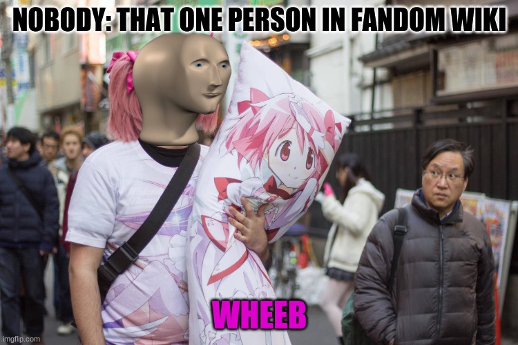 Weebs, weebs everywhere. | NOBODY: THAT ONE PERSON IN FANDOM WIKI; WHEEB | image tagged in weeb in japan,weebs,meme man | made w/ Imgflip meme maker