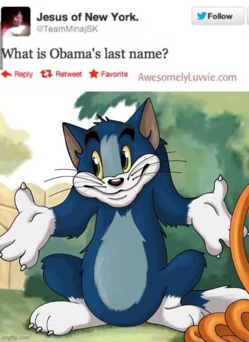 -__- lmao | image tagged in tom and jerry - tom who knows hd | made w/ Imgflip meme maker