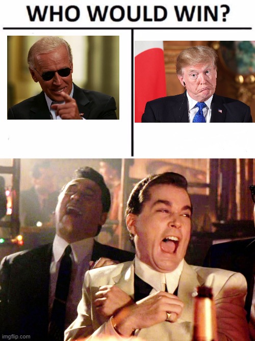 LOL but it was stowen, whaa whaa | image tagged in memes,who would win,good fellas hilarious,politics,joe biden,donald trump is an idiot | made w/ Imgflip meme maker