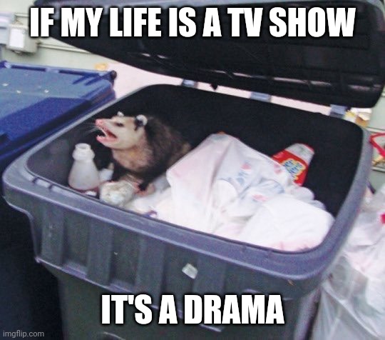 Awesome Opossum | IF MY LIFE IS A TV SHOW; IT'S A DRAMA | image tagged in awesome opossum | made w/ Imgflip meme maker