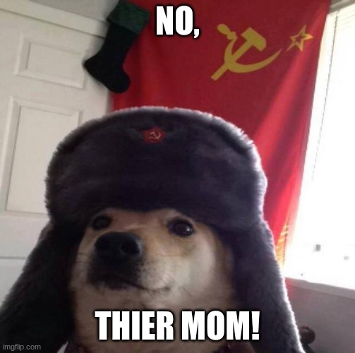 Russian Doge | NO, THIER MOM! | image tagged in russian doge | made w/ Imgflip meme maker