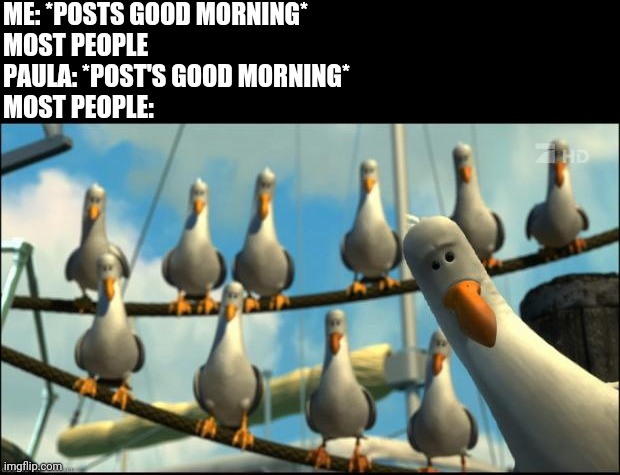 Nemo Seagulls Mine | ME: *POSTS GOOD MORNING*
MOST PEOPLE
PAULA: *POST'S GOOD MORNING*
MOST PEOPLE: | image tagged in nemo seagulls mine | made w/ Imgflip meme maker