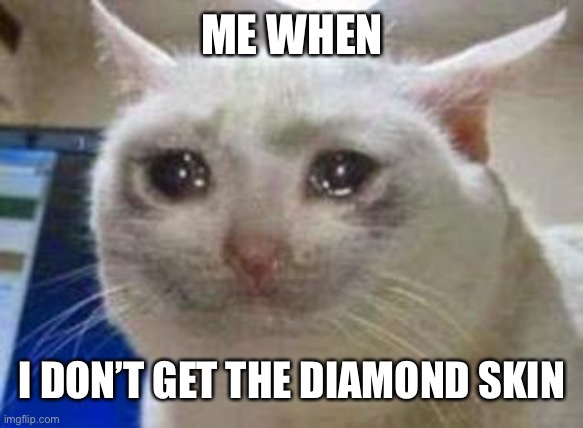 Sad cat | ME WHEN I DON’T GET THE DIAMOND SKIN | image tagged in sad cat | made w/ Imgflip meme maker