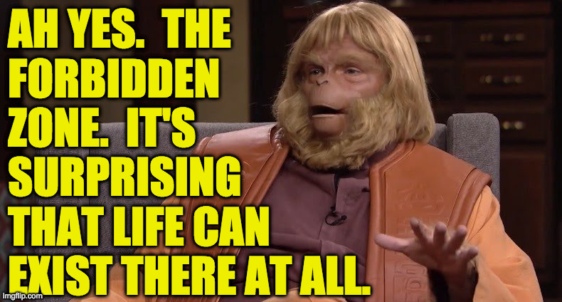 Dr. Zaius on the Politics stream | AH YES.  THE
FORBIDDEN
ZONE.  IT'S
SURPRISING
THAT LIFE CAN
EXIST THERE AT ALL. | image tagged in dr zaius,memes,politics,forbidden zone,mutants,toxic | made w/ Imgflip meme maker