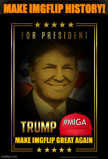 DON'T FORGET TO VOTE TO MAKE IMGFLIP GREAT AGAIN | MAKE IMGFLIP HISTORY! | made w/ Imgflip meme maker