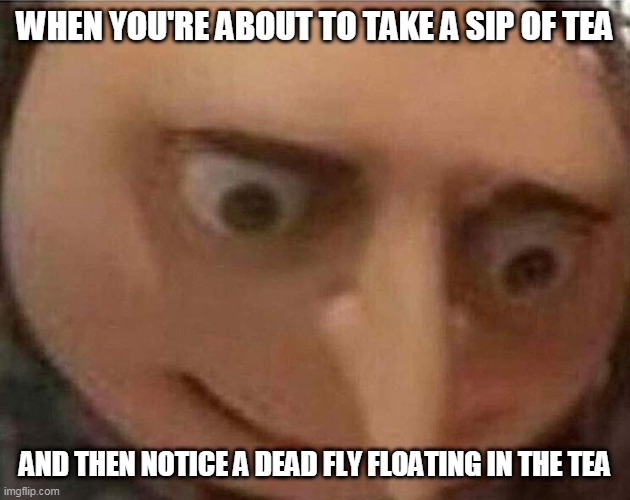 gru meme | WHEN YOU'RE ABOUT TO TAKE A SIP OF TEA; AND THEN NOTICE A DEAD FLY FLOATING IN THE TEA | image tagged in gru meme | made w/ Imgflip meme maker