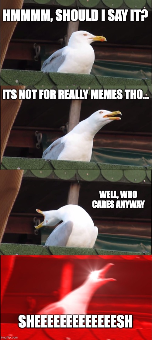 Inhaling Seagull Meme | HMMMM, SHOULD I SAY IT? ITS NOT FOR REALLY MEMES THO... WELL, WHO CARES ANYWAY; SHEEEEEEEEEEEEESH | image tagged in memes,inhaling seagull | made w/ Imgflip meme maker