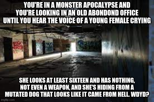 Apocalypse rp anyone? (No ocs that can one shot monsters) | YOU'RE IN A MONSTER APOCALYPSE AND YOU'RE LOOKING IN AN OLD ABONDOND OFFICE UNTIL YOU HEAR THE VOICE OF A YOUNG FEMALE CRYING; SHE LOOKS AT LEAST SIXTEEN AND HAS NOTHING, NOT EVEN A WEAPON, AND SHE'S HIDING FROM A MUTATED DOG THAT LOOKS LIKE IT CAME FROM HELL. WDYD? | image tagged in the office | made w/ Imgflip meme maker