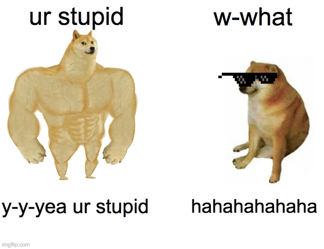 Buff Doge vs. Cheems Meme | ur stupid; w-what; y-y-yea ur stupid; hahahahahaha | image tagged in memes,buff doge vs cheems | made w/ Imgflip meme maker