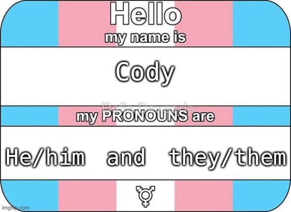 I wanna try male pronouns- | Cody; He/him and they/them | image tagged in name and pronouns | made w/ Imgflip meme maker