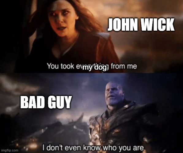 You took everything from me - I don't even know who you are |  JOHN WICK; my dog; BAD GUY | image tagged in you took everything from me - i don't even know who you are,jonh wick,puppers | made w/ Imgflip meme maker