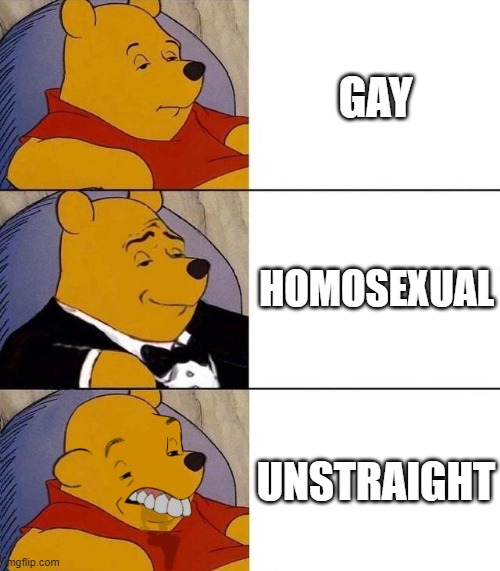 True or nah? | GAY; HOMOSEXUAL; UNSTRAIGHT | image tagged in best better blurst,memes,gay | made w/ Imgflip meme maker
