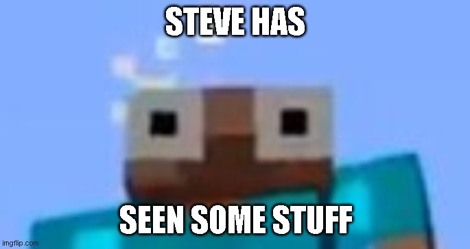 Steve..? you OK? | STEVE HAS; SEEN SOME STUFF | image tagged in minecraft steve,minecraft,my eyes,oh no,memes | made w/ Imgflip meme maker