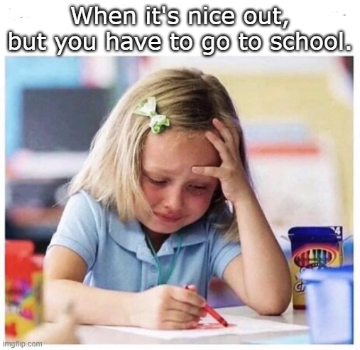 school crying | When it's nice out, but you have to go to school. | image tagged in school crying | made w/ Imgflip meme maker