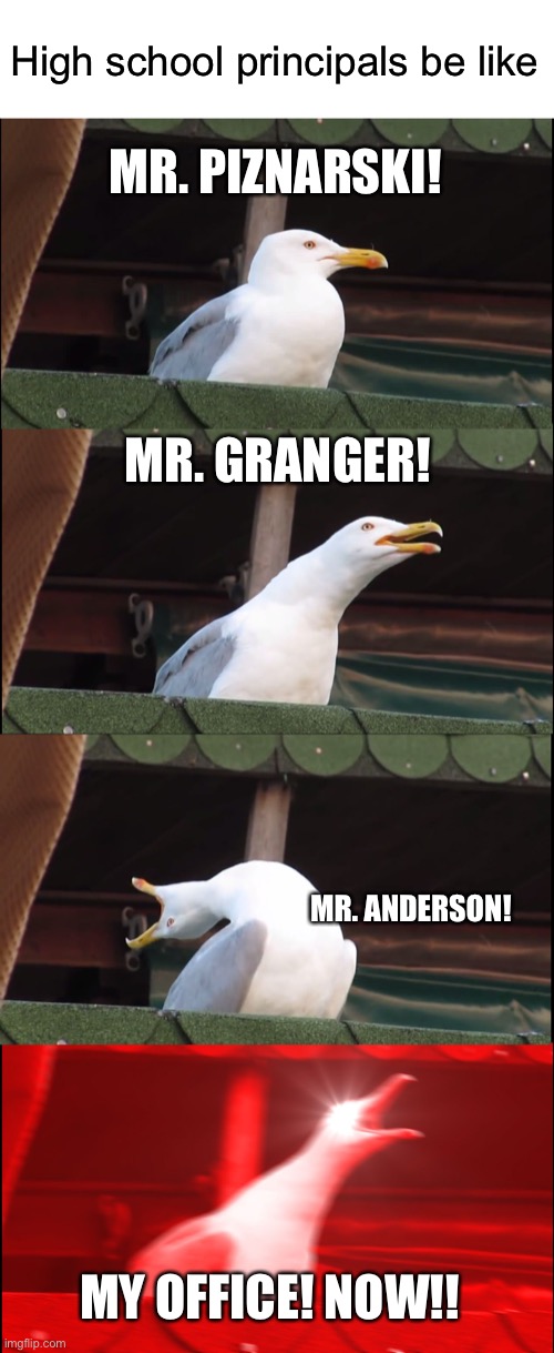 High school principals be like; MR. PIZNARSKI! MR. GRANGER! MR. ANDERSON! MY OFFICE! NOW!! | image tagged in blank white template,memes,inhaling seagull | made w/ Imgflip meme maker