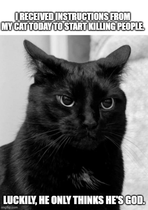 I'm not good at taking orders anyways. | I RECEIVED INSTRUCTIONS FROM MY CAT TODAY TO START KILLING PEOPLE. LUCKILY, HE ONLY THINKS HE'S GOD. | image tagged in black cat pissed,funny memes,cat memes,dark humor,puppies and kittens,murder | made w/ Imgflip meme maker
