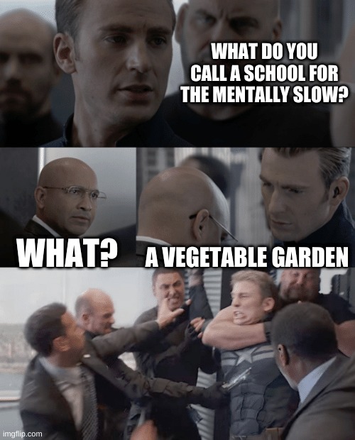 Captain America Disability Meme #3 | WHAT DO YOU CALL A SCHOOL FOR THE MENTALLY SLOW? WHAT? A VEGETABLE GARDEN | image tagged in captain america elevator | made w/ Imgflip meme maker