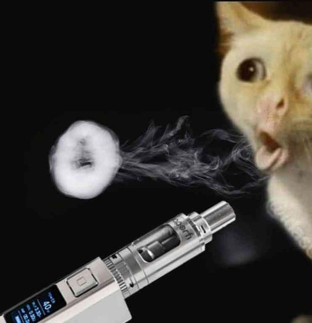 High Quality cat vape Blank Meme Template