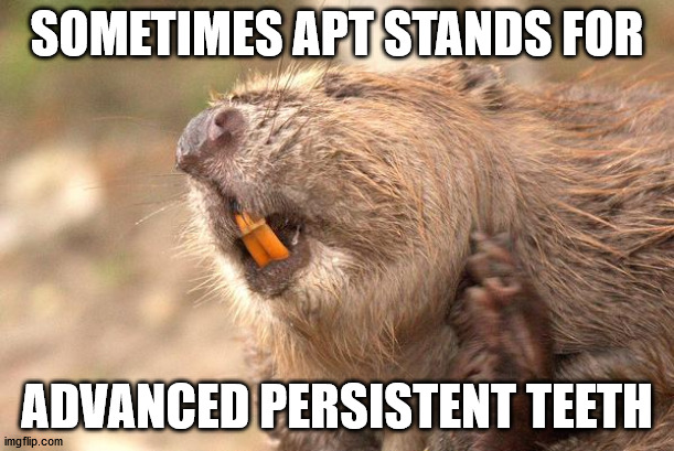  SOMETIMES APT STANDS FOR; ADVANCED PERSISTENT TEETH | image tagged in beaver | made w/ Imgflip meme maker