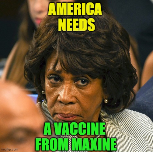 vaccine | AMERICA 
NEEDS; A VACCINE 
FROM MAXINE | image tagged in vaccine,maxine | made w/ Imgflip meme maker
