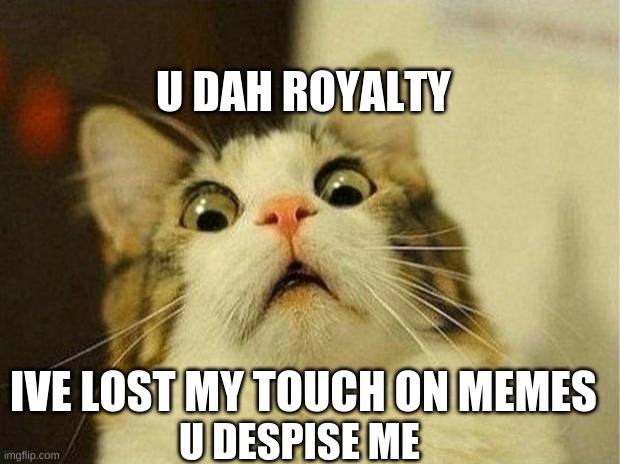 Scared Cat Meme | U DAH ROYALTY; IVE LOST MY TOUCH ON MEMES; U DESPISE ME | image tagged in memes,scared cat | made w/ Imgflip meme maker