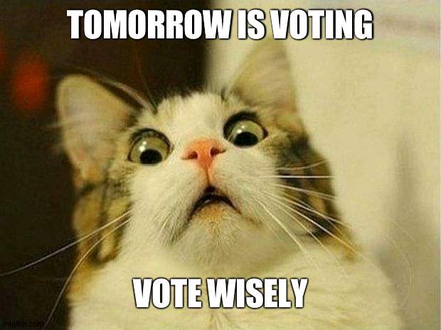 I am getting nervous | TOMORROW IS VOTING; VOTE WISELY | image tagged in memes,scared cat | made w/ Imgflip meme maker