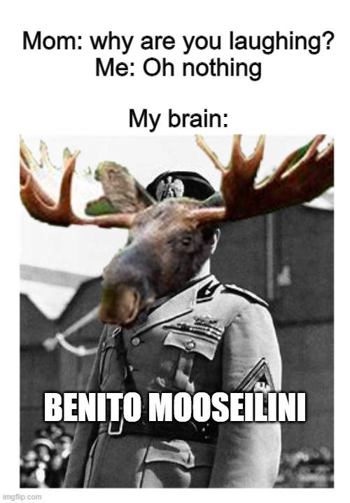 Heil Mooselini! | Mom: why are you laughing?
Me: Oh nothing; My brain:; BENITO MOOSEILINI | image tagged in mussolini,fascism,funny politics,fun,funny memes | made w/ Imgflip meme maker