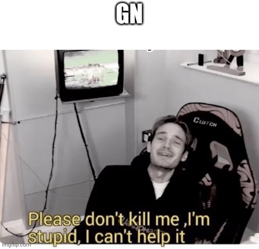 Please don't kill me lm stupid I can't help it | GN | image tagged in please don't kill me lm stupid i can't help it | made w/ Imgflip meme maker