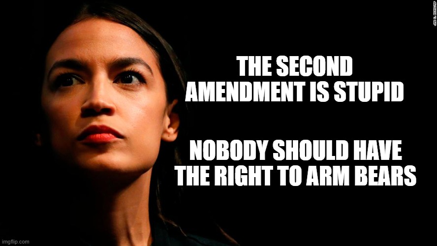 Or porcupines for that matter. | THE SECOND AMENDMENT IS STUPID; NOBODY SHOULD HAVE THE RIGHT TO ARM BEARS | image tagged in ocasio-cortez super genius,second amendment,gun control,politics,funny memes,stupid liberals | made w/ Imgflip meme maker