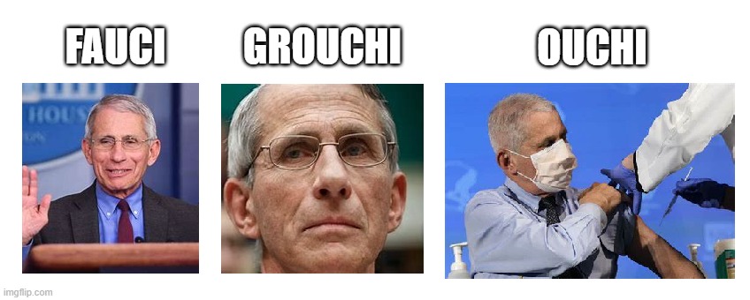 The Many Faces of Anthony | OUCHI; GROUCHI; FAUCI | image tagged in fauci,dr fauci,bad pun,meme,fun,dank | made w/ Imgflip meme maker