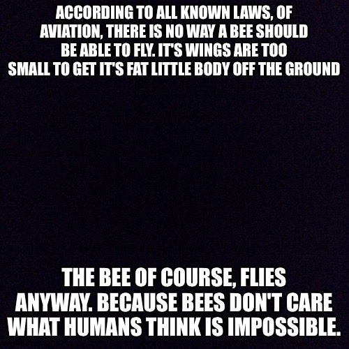 Black screen  | ACCORDING TO ALL KNOWN LAWS, OF AVIATION, THERE IS NO WAY A BEE SHOULD BE ABLE TO FLY. IT'S WINGS ARE TOO SMALL TO GET IT'S FAT LITTLE BODY OFF THE GROUND; THE BEE OF COURSE, FLIES ANYWAY. BECAUSE BEES DON'T CARE WHAT HUMANS THINK IS IMPOSSIBLE. | image tagged in black screen | made w/ Imgflip meme maker