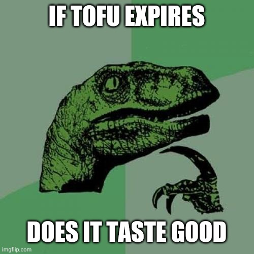 Philosoraptor Meme | IF TOFU EXPIRES; DOES IT TASTE GOOD | image tagged in memes,philosoraptor | made w/ Imgflip meme maker
