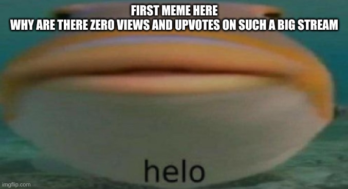 helo | FIRST MEME HERE
WHY ARE THERE ZERO VIEWS AND UPVOTES ON SUCH A BIG STREAM | image tagged in helo | made w/ Imgflip meme maker