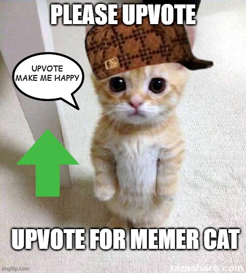cat memer |  PLEASE UPVOTE; UPVOTE MAKE ME HAPPY; UPVOTE FOR MEMER CAT | image tagged in memes,cute cat | made w/ Imgflip meme maker
